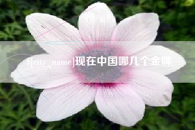 冠县现在中国哪几个金牌