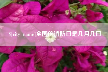 冠县全国的消防日是几月几日
