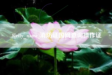 冠县消防证国网查询操作证