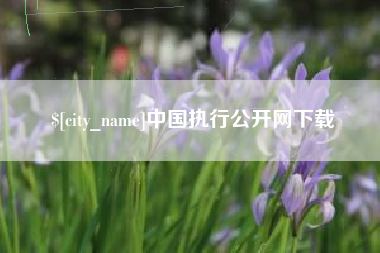 冠县中国执行公开网下载