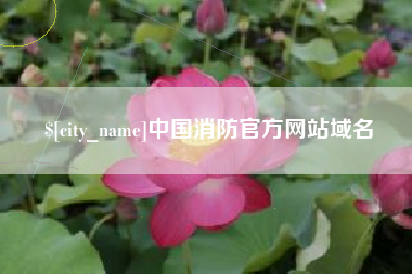 冠县中国消防官方网站域名