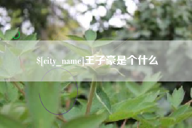 冠县王子豪是个什么