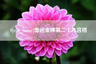 冠县奥运金牌第二个九宫格