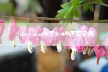 冠县中国5000米国家记录