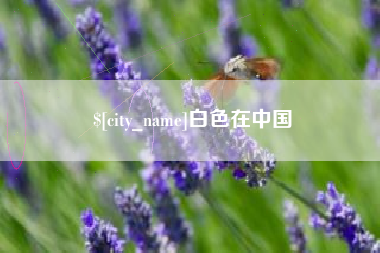冠县白色在中国