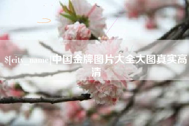 冠县中国金牌图片大全大图真实高清