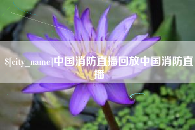 冠县中国消防直播回放中国消防直播