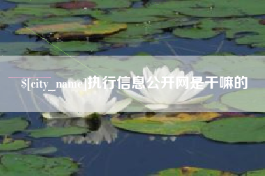冠县执行信息公开网是干嘛的