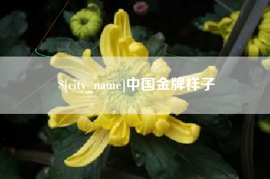 冠县中国金牌样子
