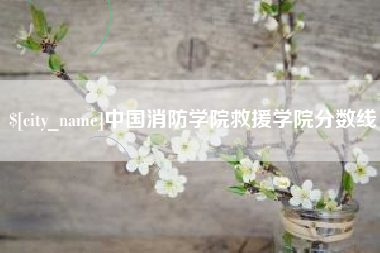 冠县中国消防学院救援学院分数线