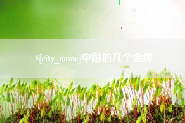 冠县中国的几个金牌