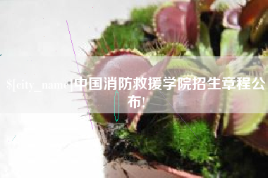 冠县中国消防救援学院招生章程公布!