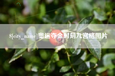 冠县奥运夺金时刻九宫格图片