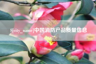 冠县中国消防产品质量信息
