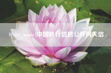 冠县中国执行信息公开网失信