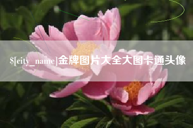 冠县金牌图片大全大图卡通头像