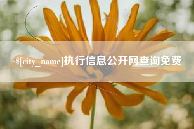 冠县执行信息公开网查询免费
