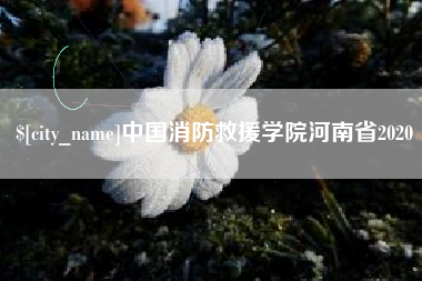 冠县中国消防救援学院河南省2020